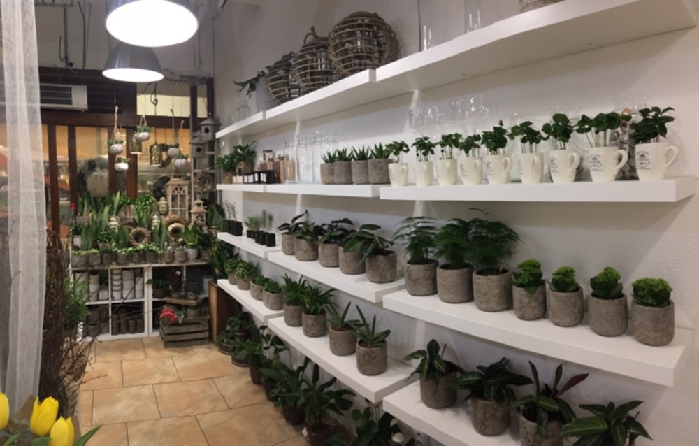 Květinářství Orchidej