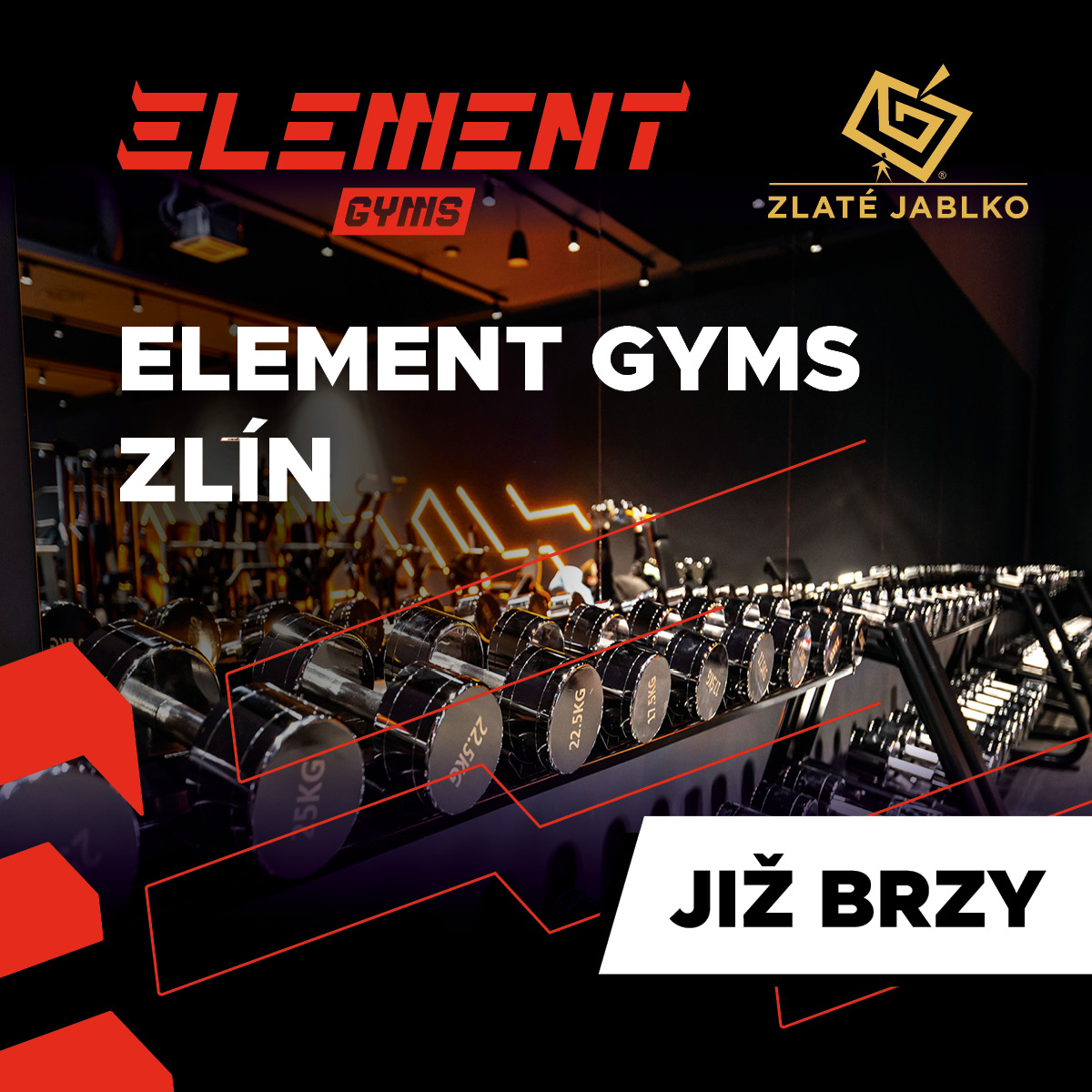 ELEMENT GYMS